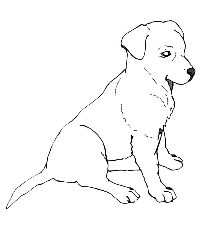 lab puppies coloring pages - photo #41