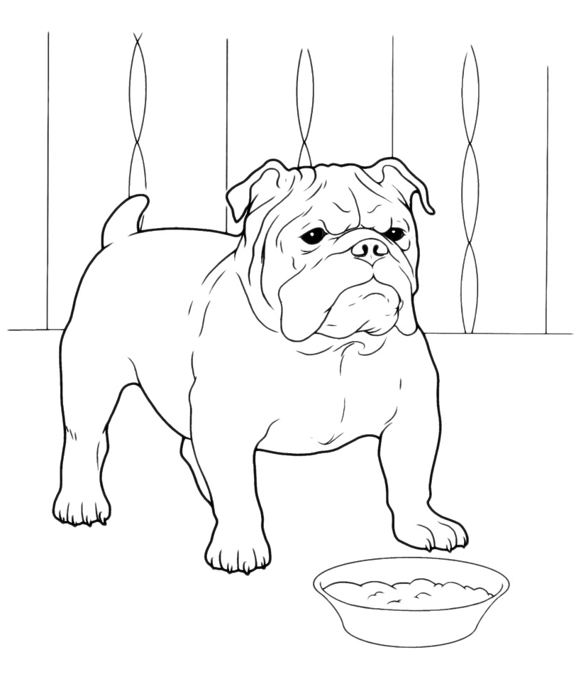 Coloriage Bouledogue Francais Imprimer