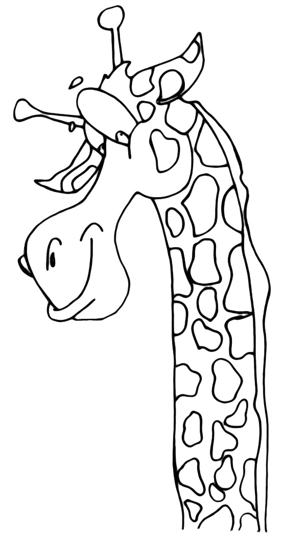 Animali Giraffa