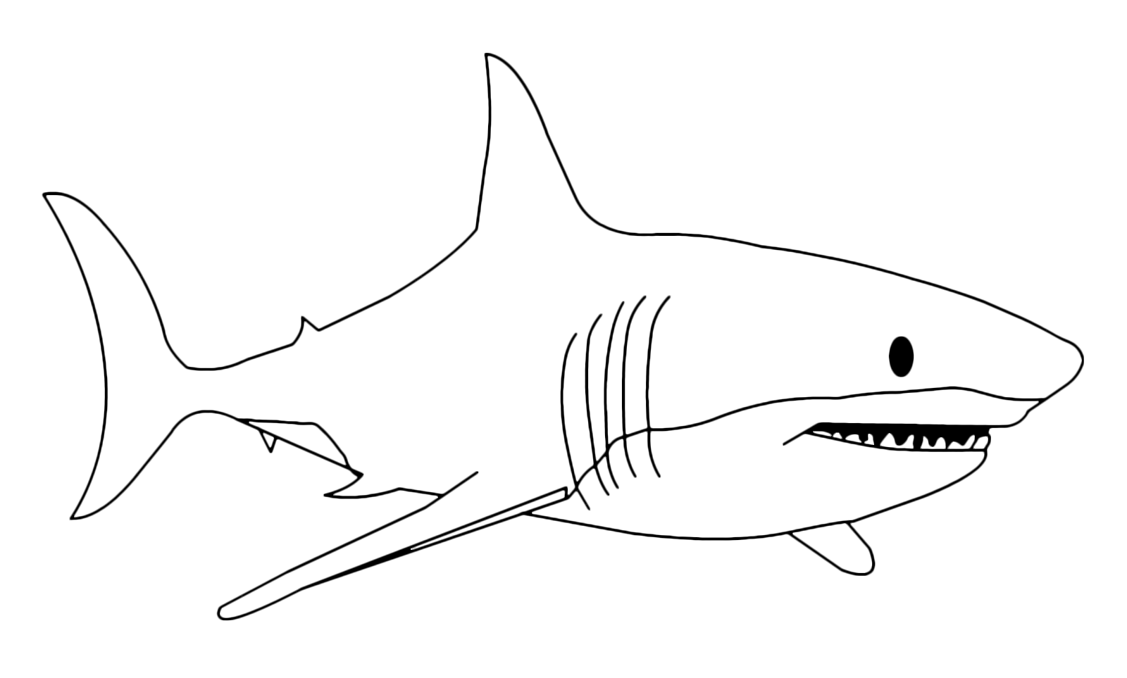 Animali da colorare Il temibile squalo bianco