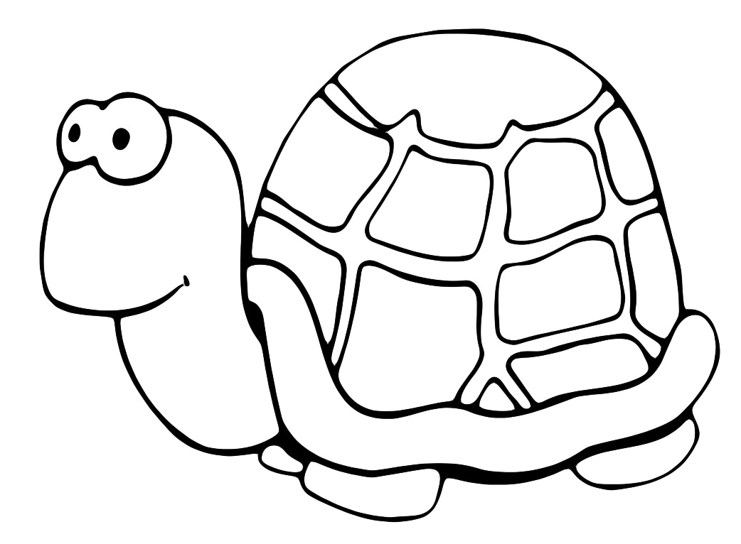 Tartaruga da colorare per bambini fumetto della tartaruga da colorare tartaruga da colorare pagine disegni da colorare tartaruga che la la linguaccia da