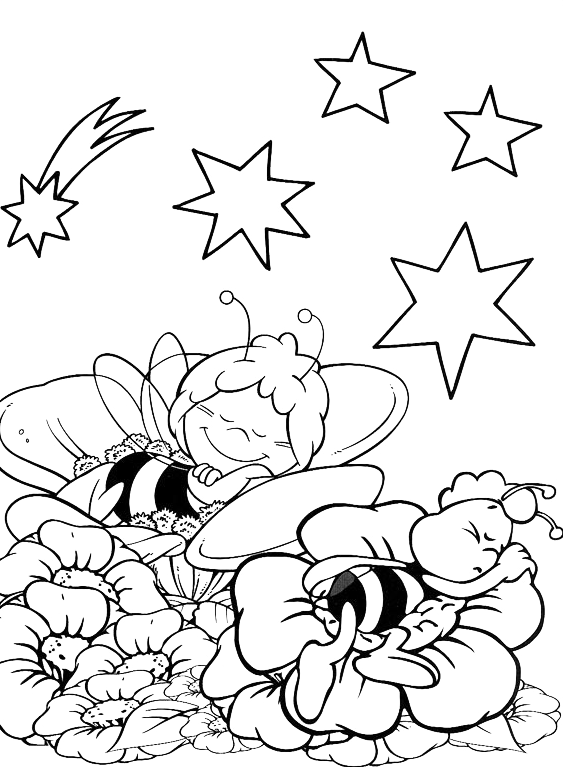 Ape Maia - Maia e Willi dormono su un fiore