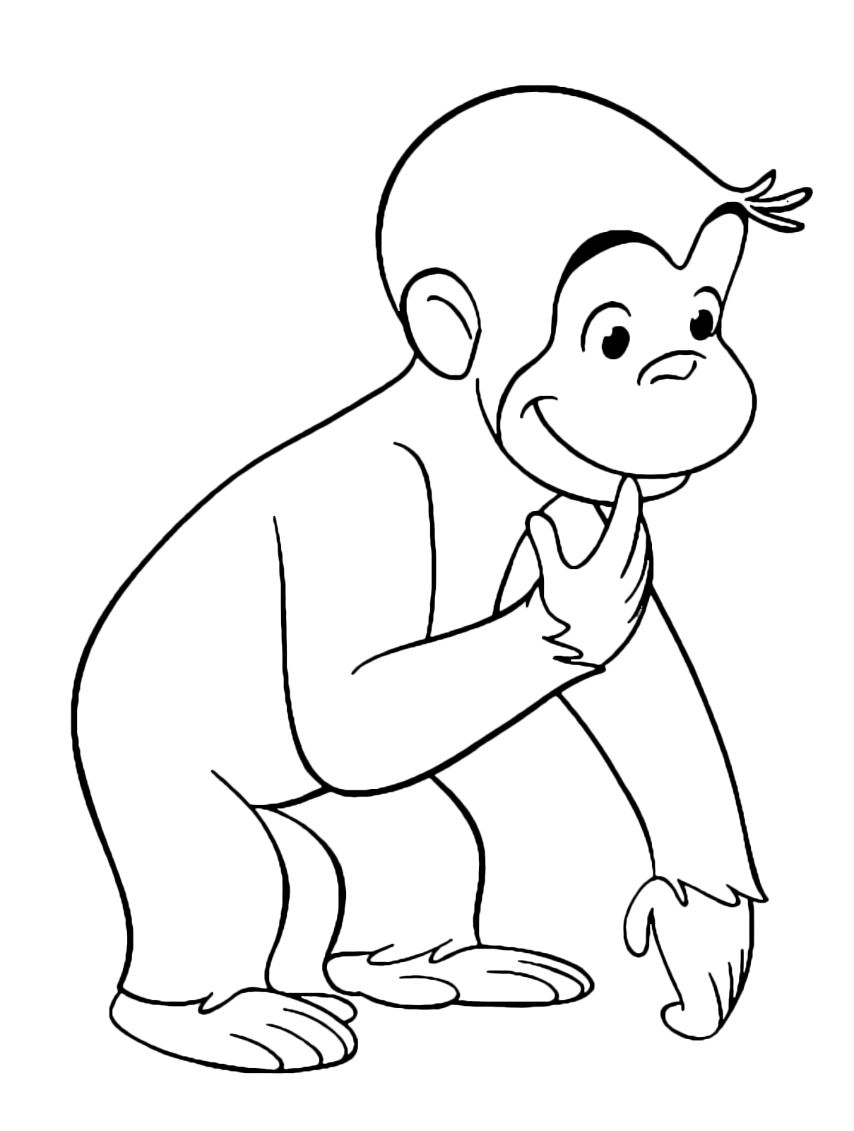 george la scimmietta osserva incuriosita
