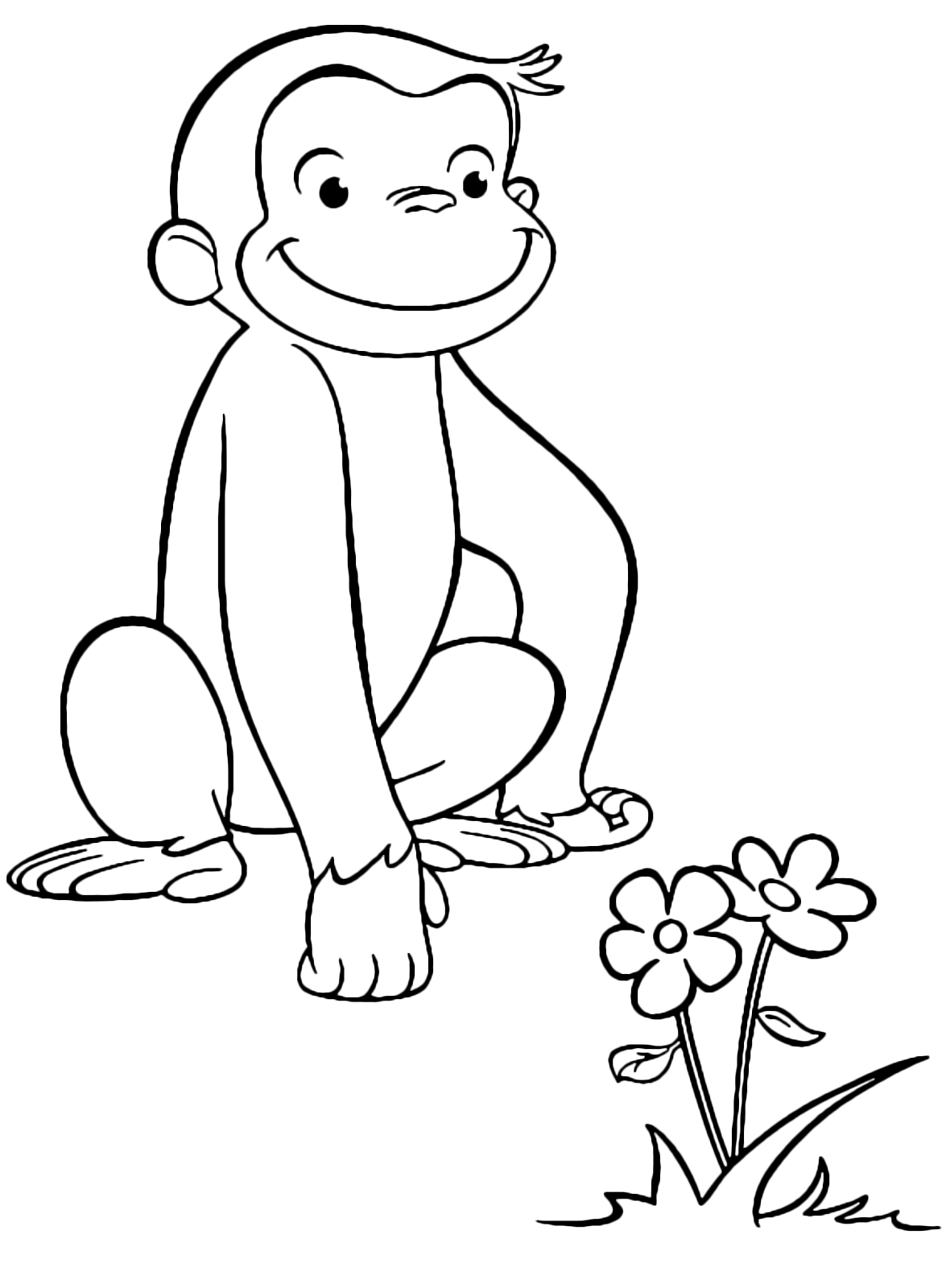 Curioso come George - George la scimmietta osserva un fiore