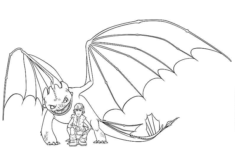 Disegno Di Il Drago Furia Buia Sdentato Da Colorare Disegni Da