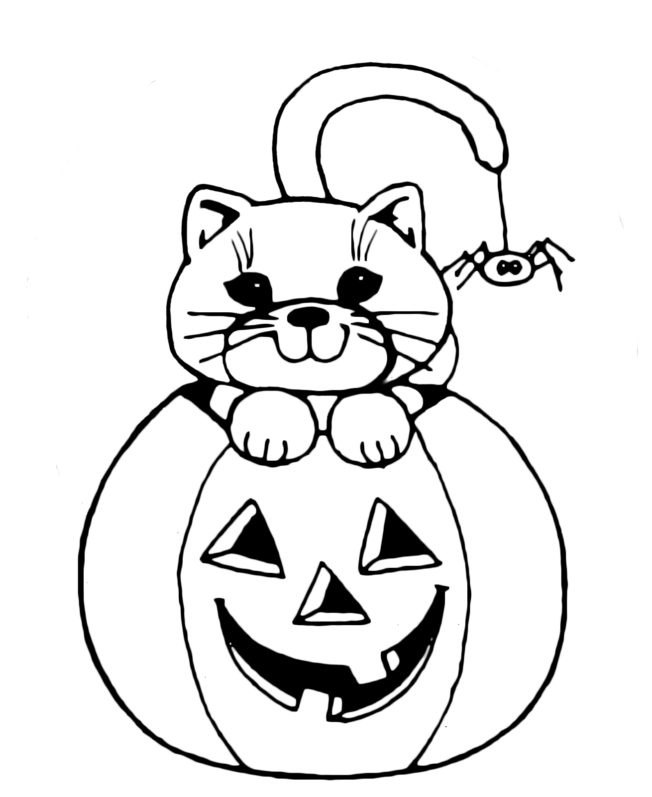 Halloween - Il gattino dentro la zucca con il ragnetto attaccato alla coda
