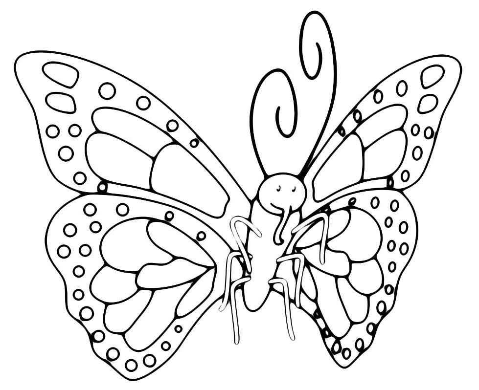 Insetti - Farfalla
