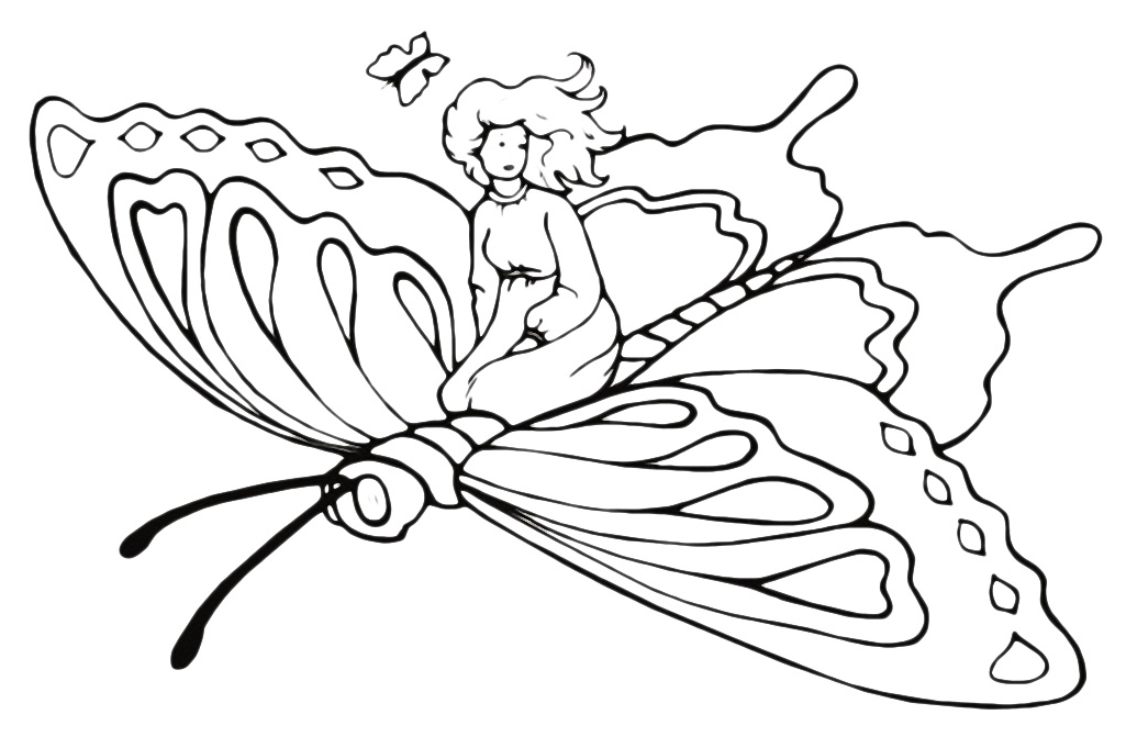 Insetti - Farfalla gigante