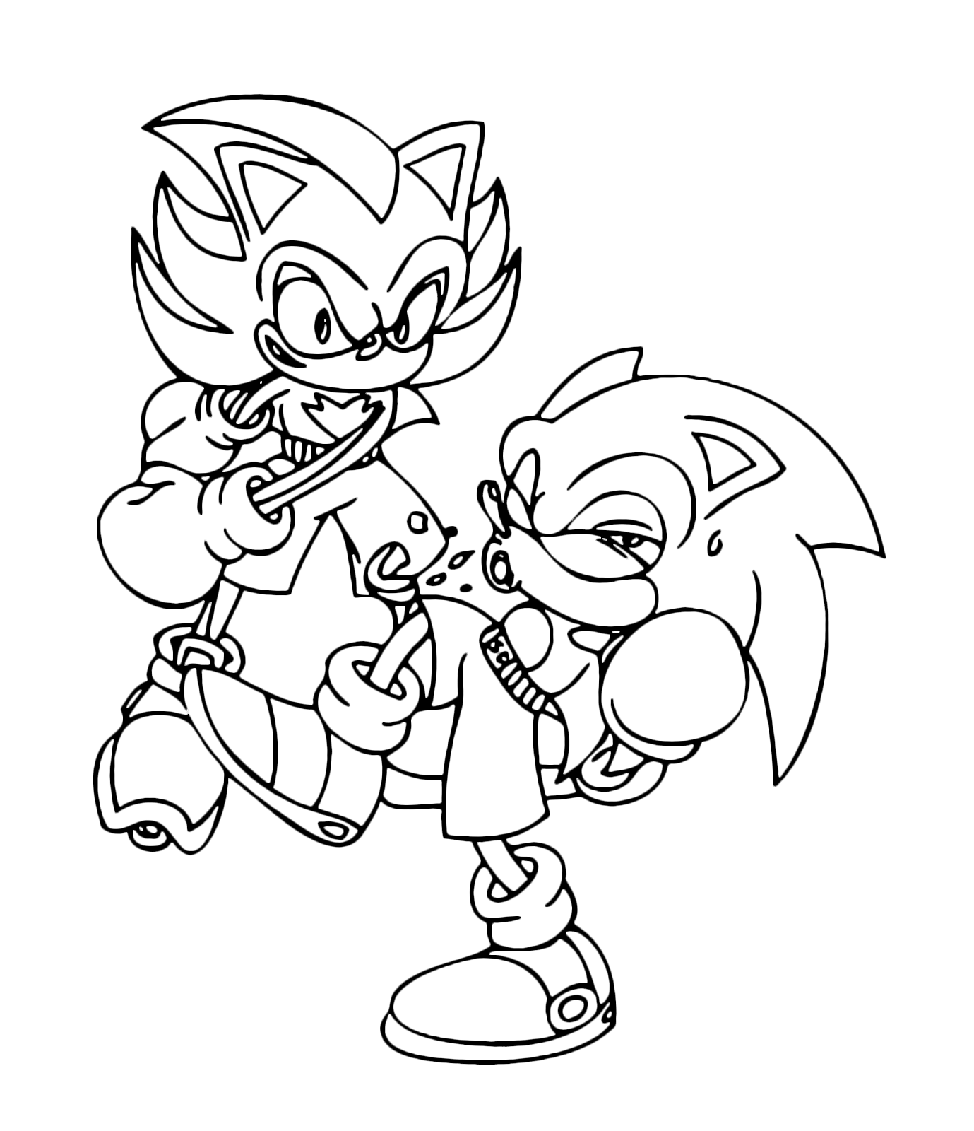 Shadow tira un pugno a Sonic