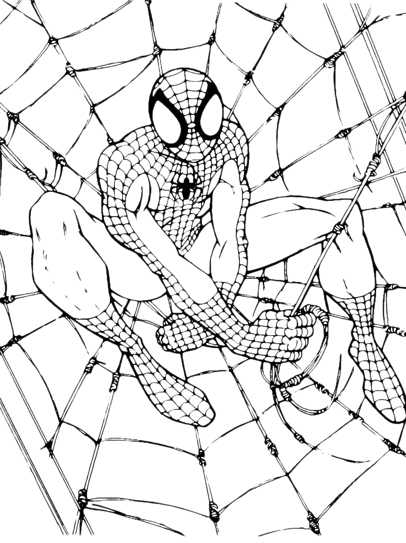 Spiderman Da Colorare 84 Disegni Da Stampare Gratis Per I Bambini A Tutto Donna