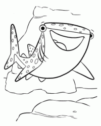 Destiny lo squalo balena amica d'infanzia di Dory