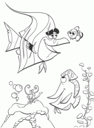 Branchia Bloblò e Nemo