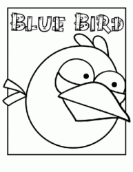 Blu Birds guarda un maialino
