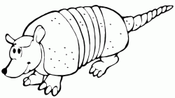 Armadillo