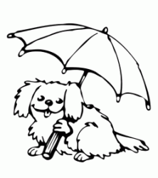 Cane con l'ombrello