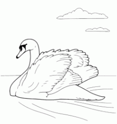 Cigno