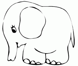 Elefante