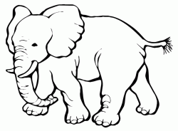 Elefante