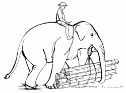 Elefante a lavoro