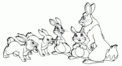 Famiglia di conigli