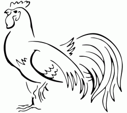 Gallo