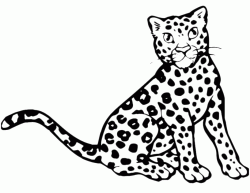Leopardo cucciolo