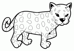 Leopardo cucciolo