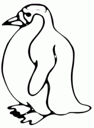 Pinguino grasso