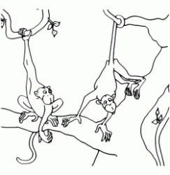 Scimmie giocano su un albero