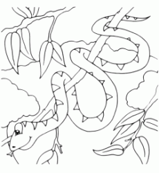 Serpente su un ramo