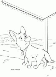 Bolt