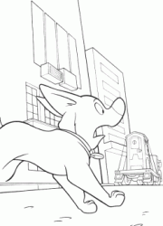 Bolt