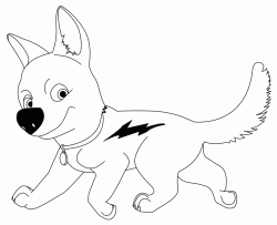 Bolt