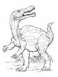 Un dinosauro carnivoro il Tarbosauro