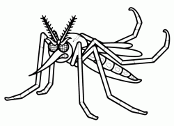 Zanzara arrabbiata