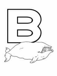 Lettera B di balena in stampatello