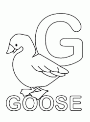 Lettera G in stampatello di goose (oca) in Inglese