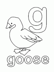 Lettera g in stampato minuscolo di goose (oca) in Inglese