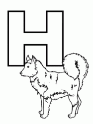 Lettera H del cane husky in stampatello