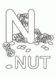 Lettera N in stampatello di nut (noce o nocciolina) in Inglese