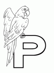 Lettera P di pappagallo in stampatello