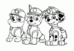 Rubble Chase e Marshall tre membri importanti dei Paw Patrol