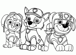 Tre membri dei Paw Patrol Skye Rocky e Zuma