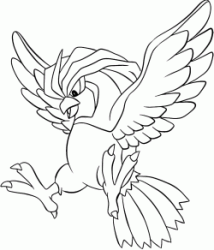 Pidgeotto mentre atterra