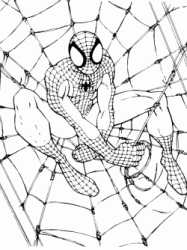 Spiderman