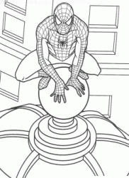 Spiderman in cima al grattacielo