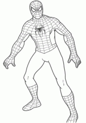 Spiderman in piedi