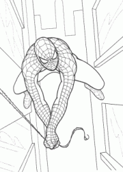 Spiderman in volo