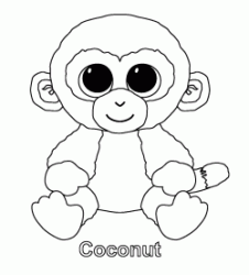 Coconut la simpatica scimmietta